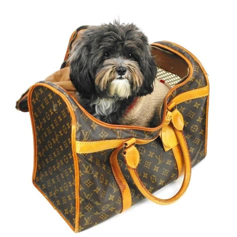 dog carrier lv|faux louis vuitton dog carriers.